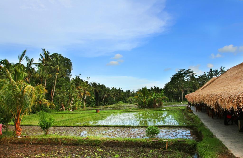Sapulidi & Gallery Bali Ubud
