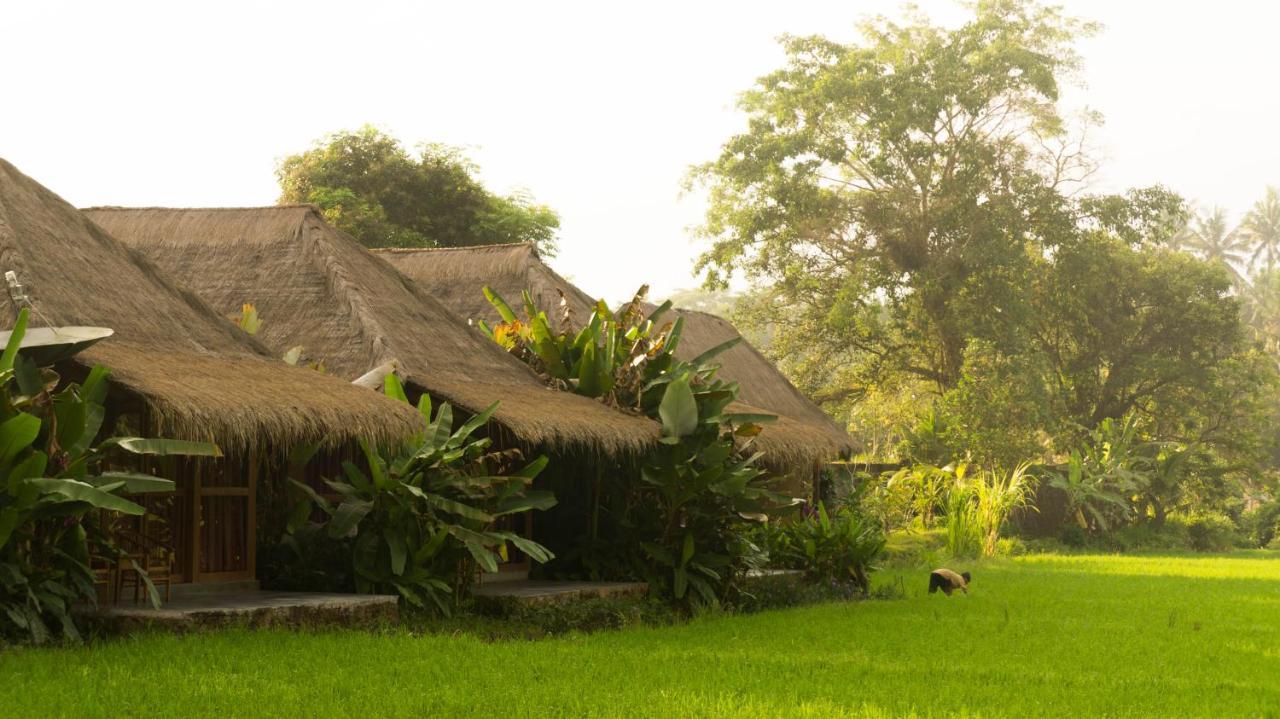 Sapulidi & Gallery Bali Station touristique Ubud